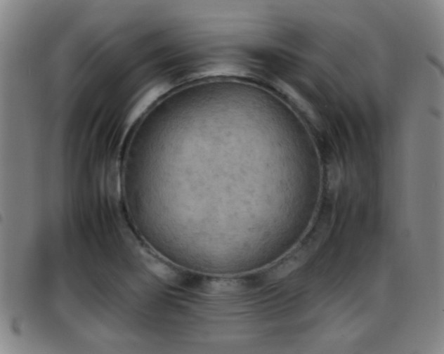 X0000097901274200803141347