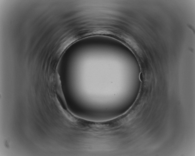 X0000097901281200803141347