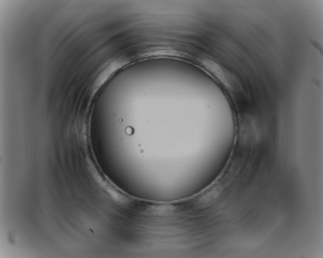 X0000097901282200803141347
