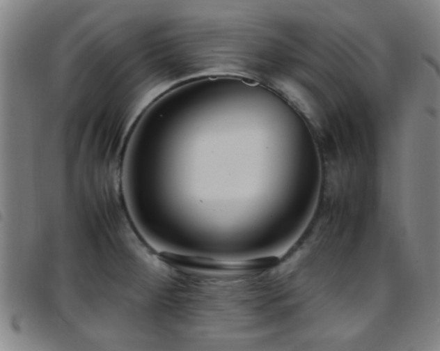 X0000097901284200803141347