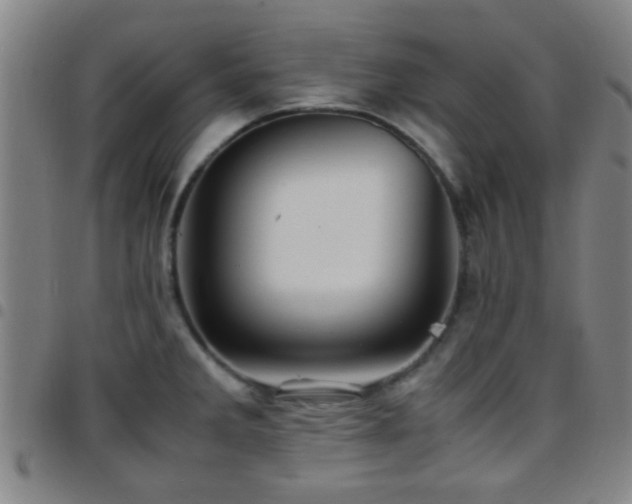 X0000097901285200803141347