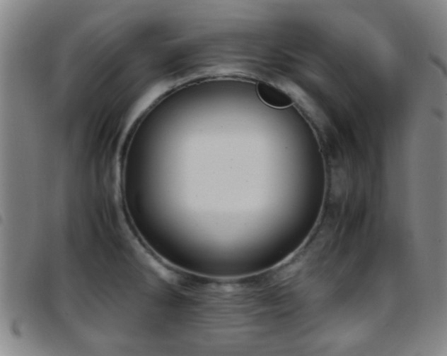 X0000097901286200803141347