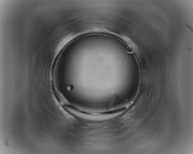 X0000097901287200803141347
