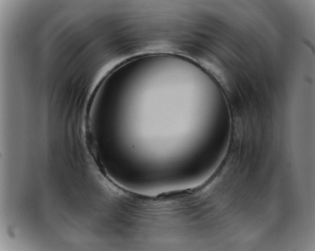 X0000097901288200803141347