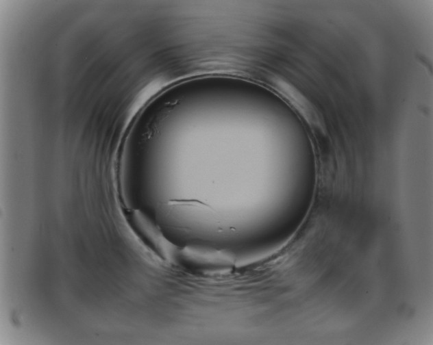 X0000097901291200803141347