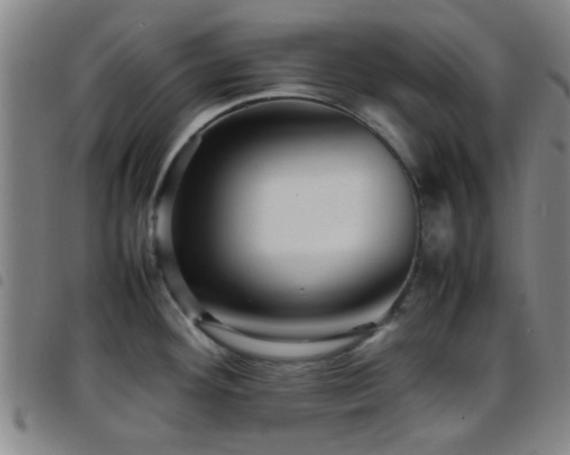 X0000097901292200803141346