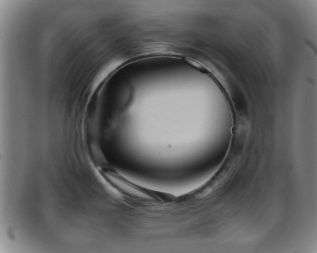 X0000097901293200803141346
