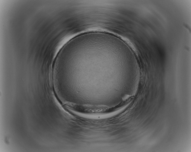 X0000097901295200803141346