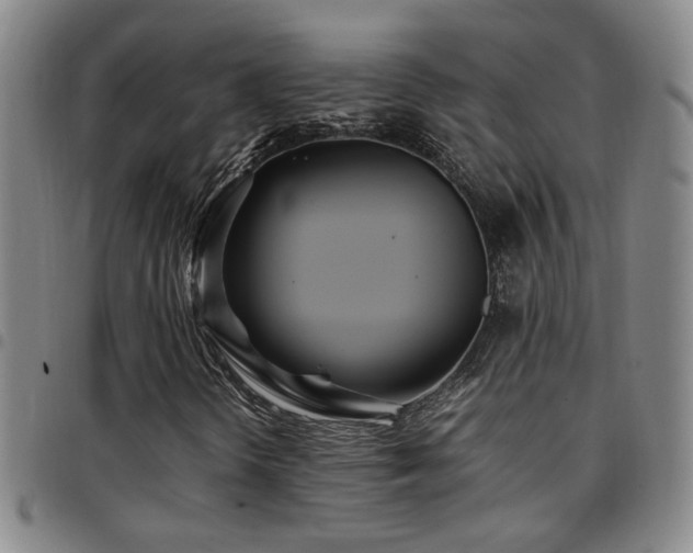 X0000097901298200803141346