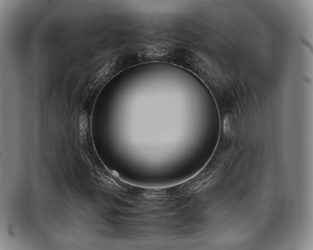 X0000097901299200803141346