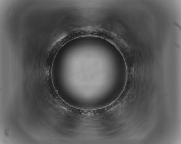 X0000097901302200803141346