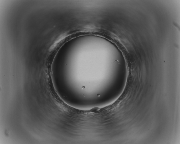 X0000097901304200803141346