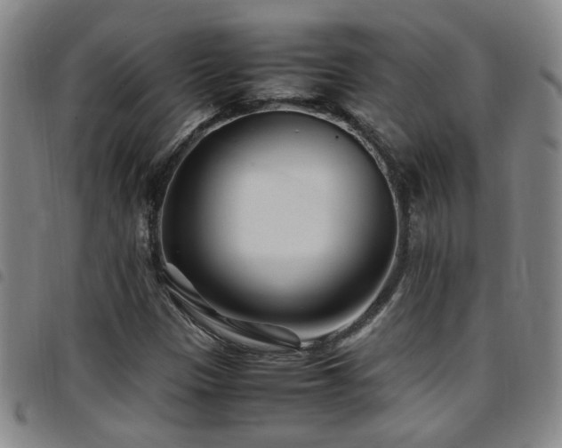 X0000097901305200803141346