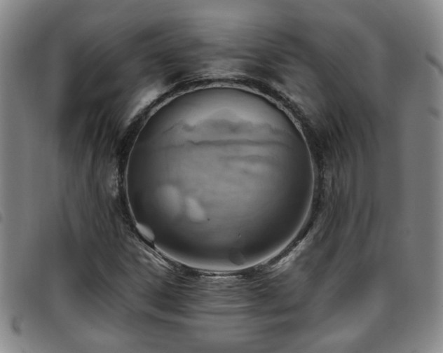 X0000097901306200803141346