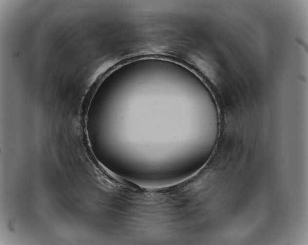 X0000097901308200803141346