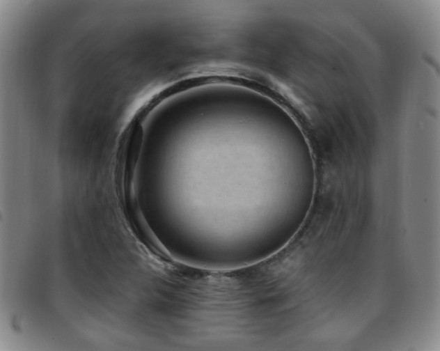 X0000097901312200803141346