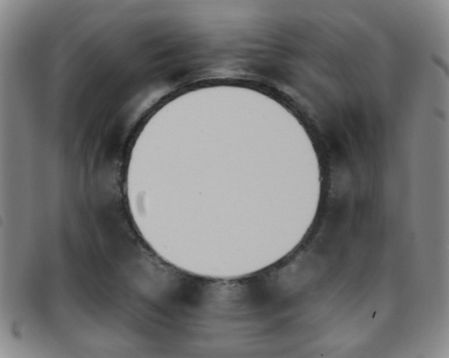X0000097901314200803141346