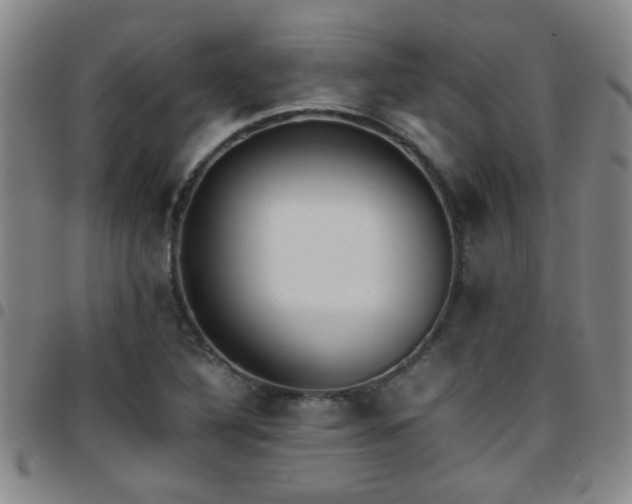 X0000097901316200803141346