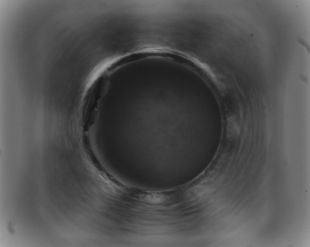 X0000097901319200803141346