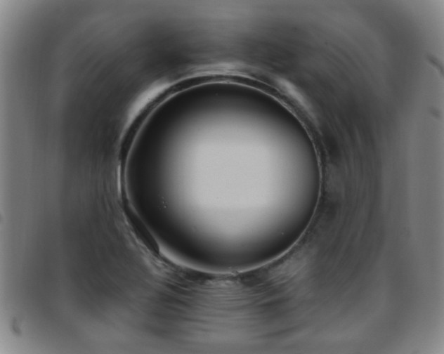 X0000097901320200803141346