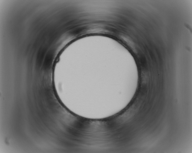X0000097901322200803141346