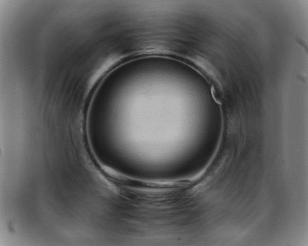 X0000097901325200803141346