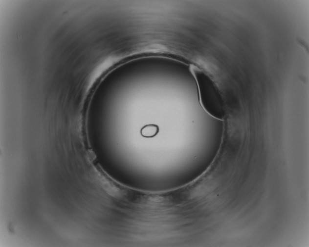 X0000097901326200803141346