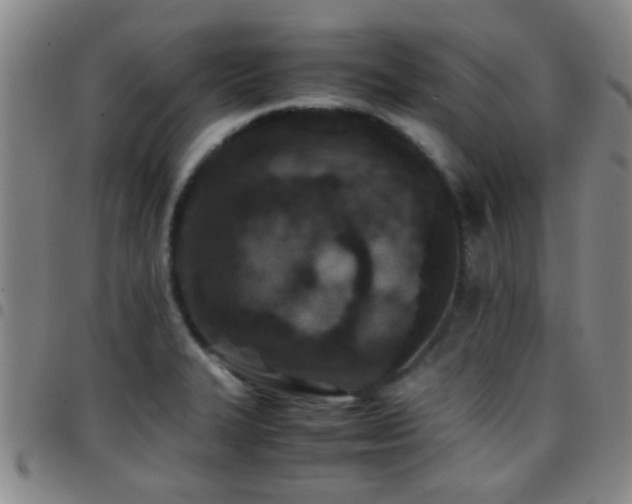 X0000097901327200803141346