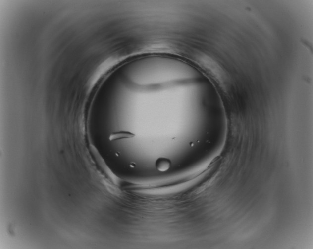 X0000097901328200803141346