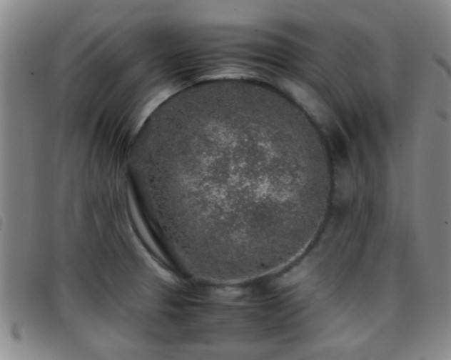 X0000097901329200803141346