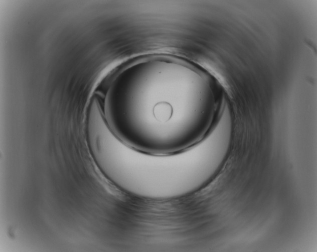 X0000097901332200803141346