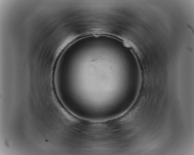 X0000097901333200803141346