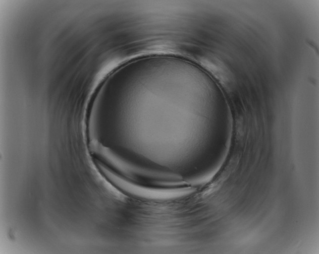 X0000097901334200803141346