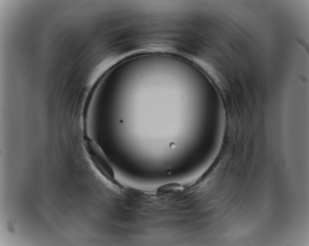 X0000097901335200803141346