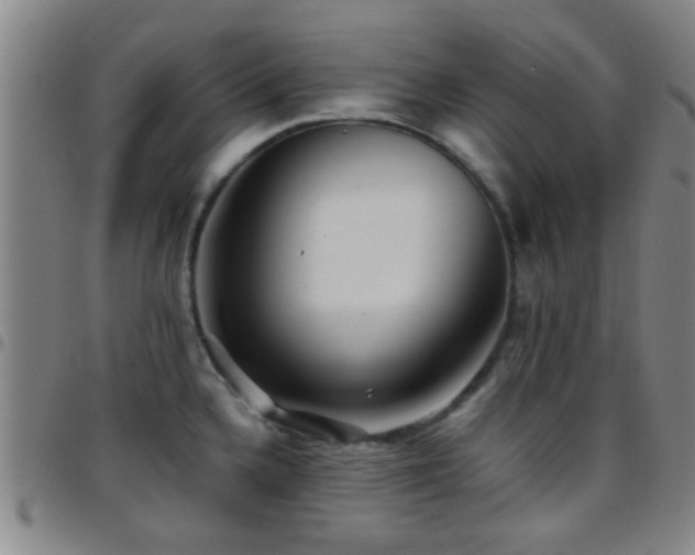X0000097901336200803141346
