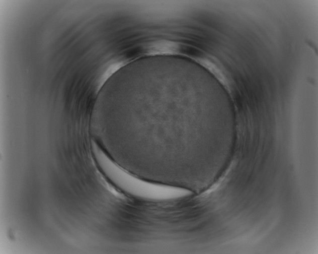 X0000097901337200803141346