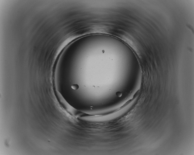 X0000097901339200803141346