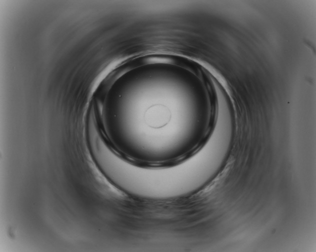 X0000097901341200803141346