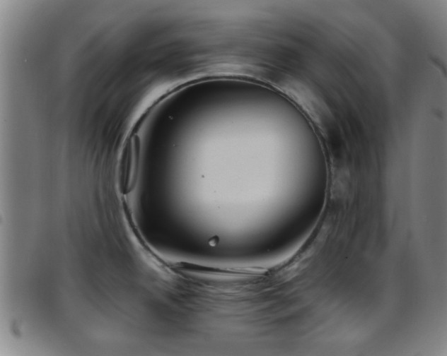 X0000097901342200803141346