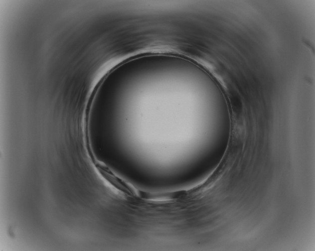 X0000097901343200803141346