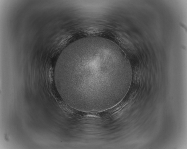 X0000097901346200803141346