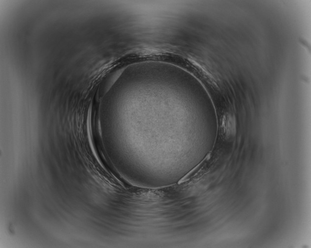 X0000097901348200803141346