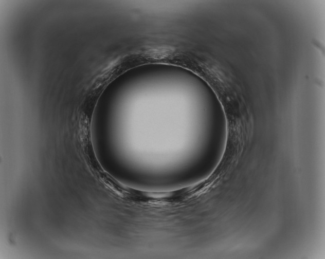 X0000097901349200803141346