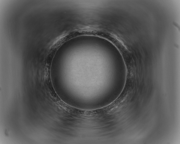 X0000097901350200803141346