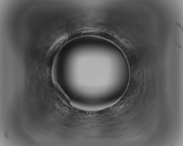 X0000097901351200803141346