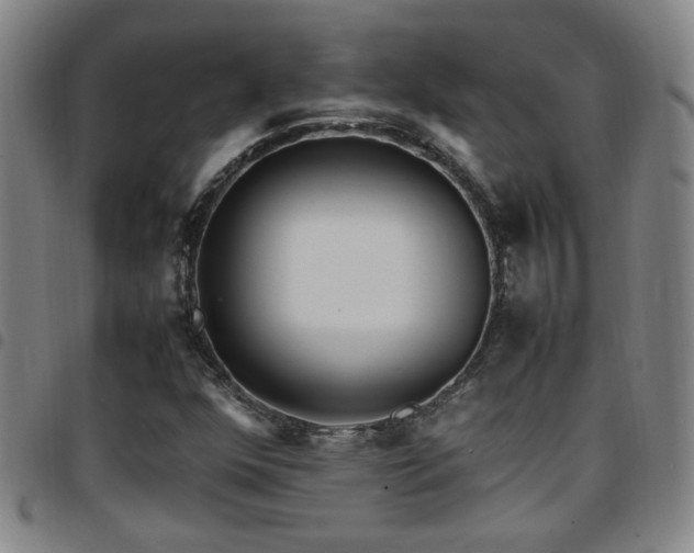 X0000097901352200803141346