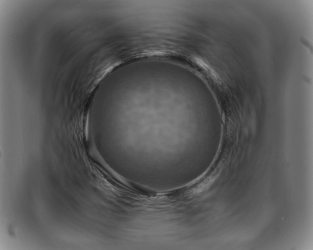 X0000097901353200803141346