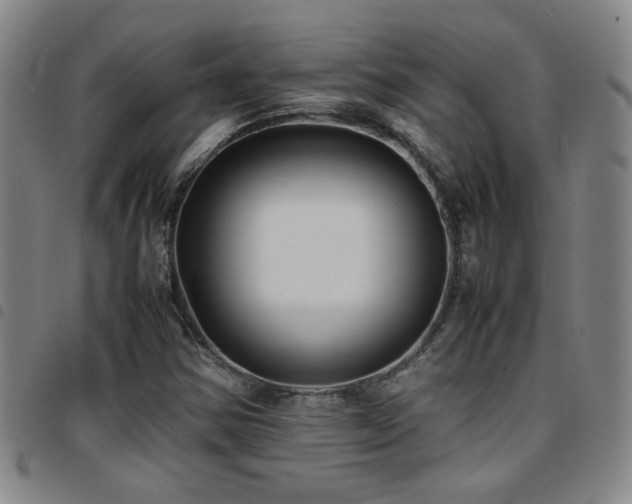 X0000097901354200803141346