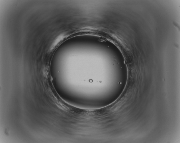 X0000097901355200803141346