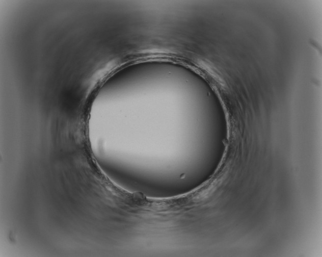 X0000097901357200803141346